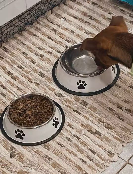 Stainless Steel Pet Bowl
