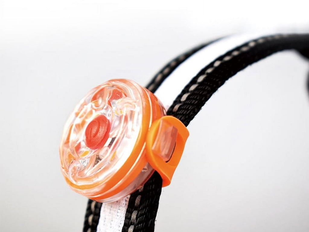 Led Safety Collar